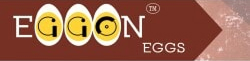 Eggon